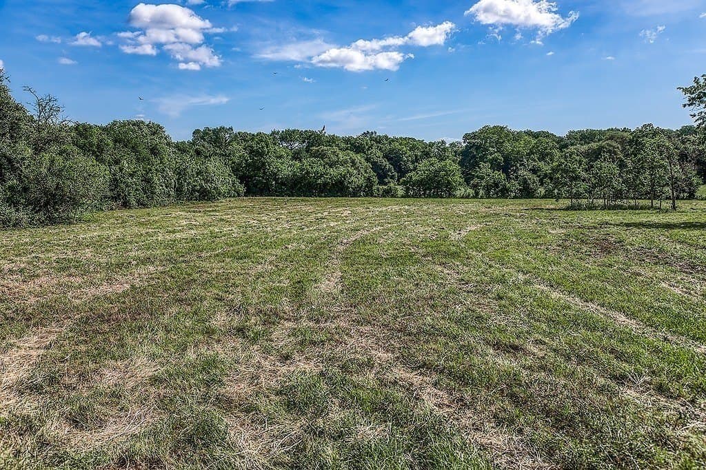 5 acres in Washington County - photo 9