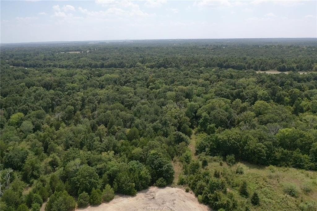 51.94 acres in Freestone County - photo 11