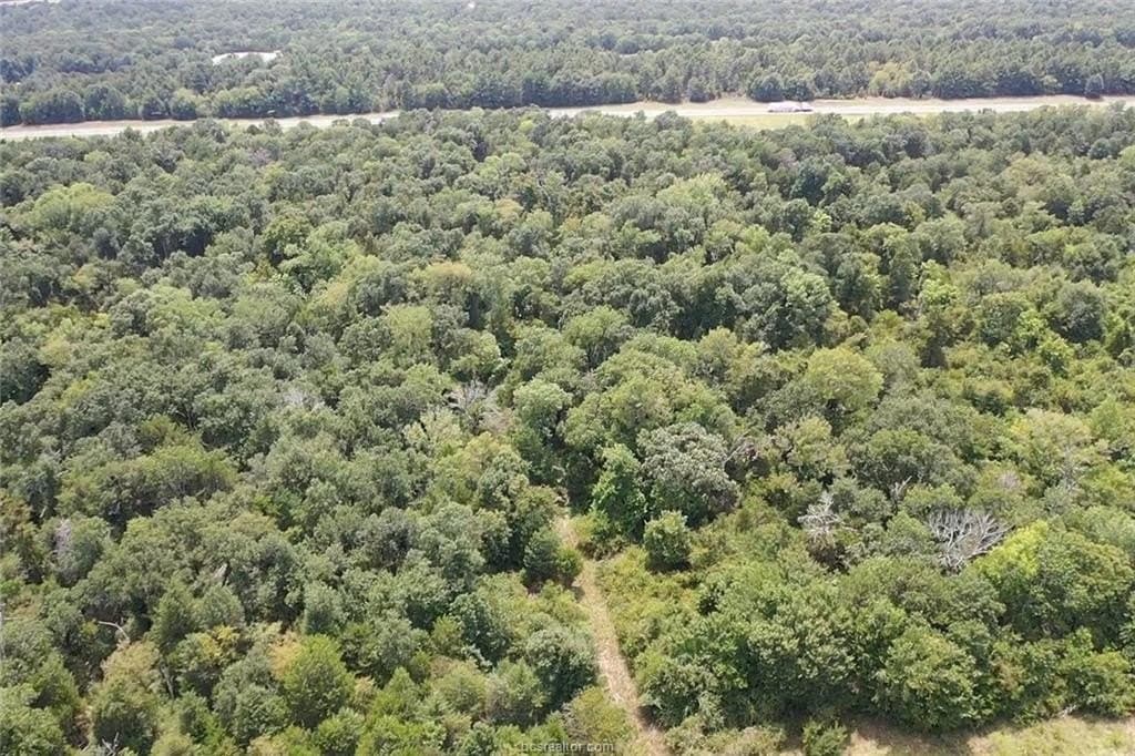51.94 acres in Freestone County - photo 3