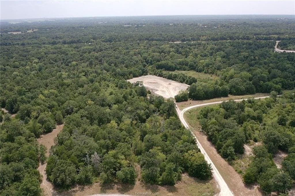 51.94 acres in Freestone County - photo 4