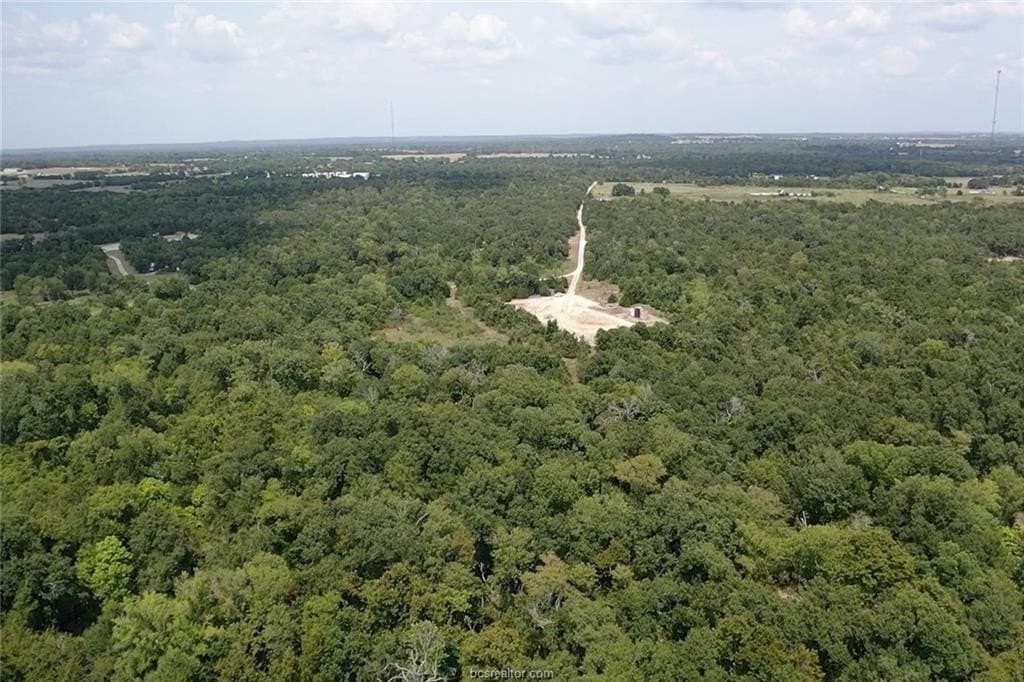 51.94 acres in Freestone County - photo 2