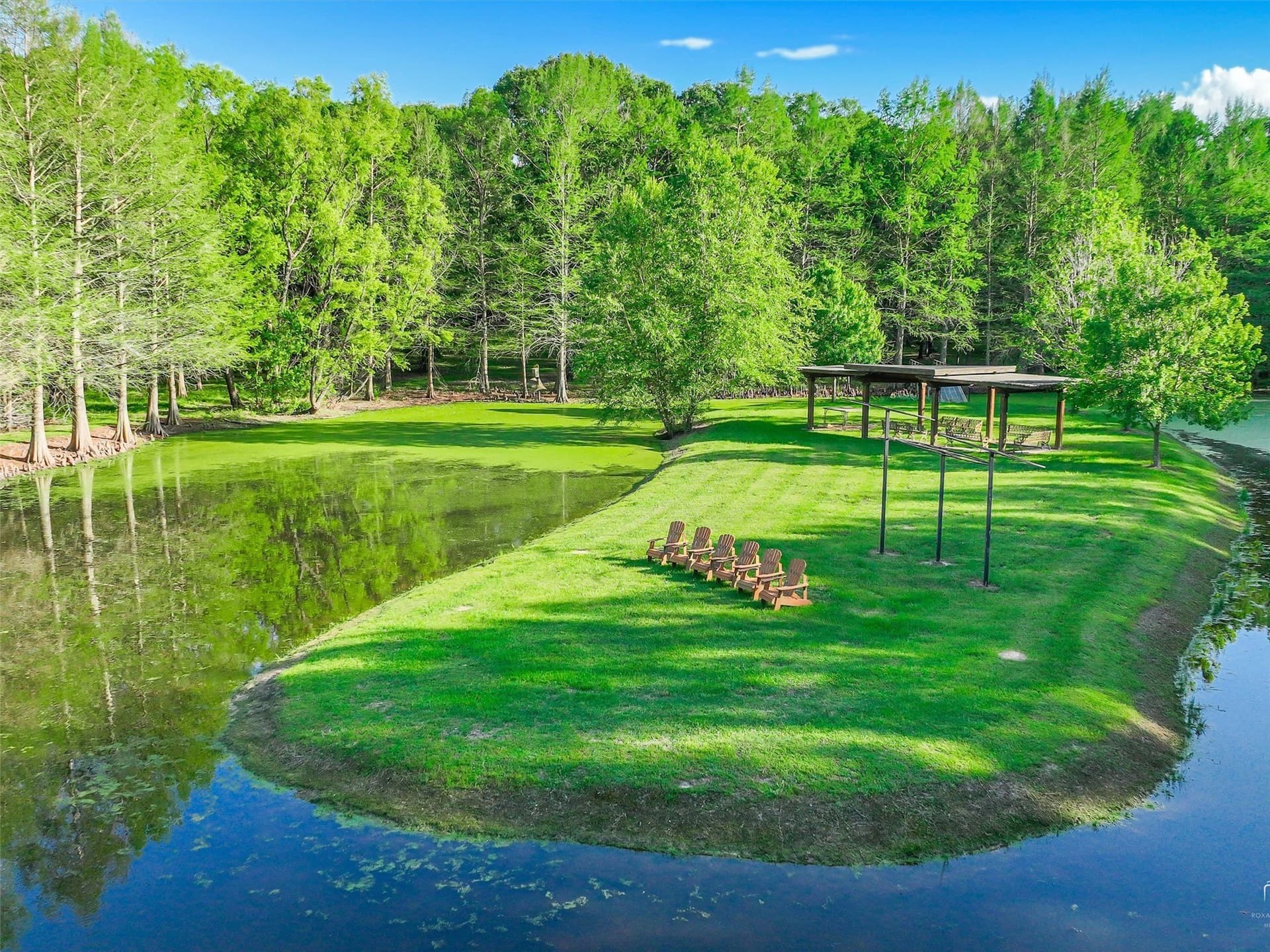 40.3 acres in Rains County - photo 32