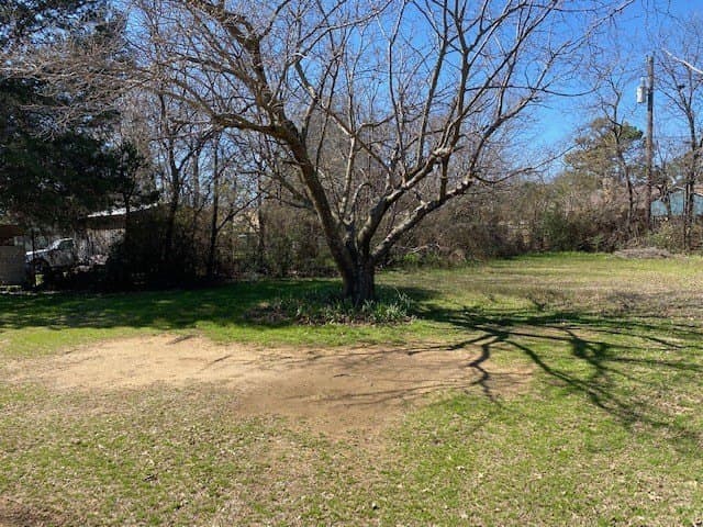 6 acres in Denton County gallery image 4