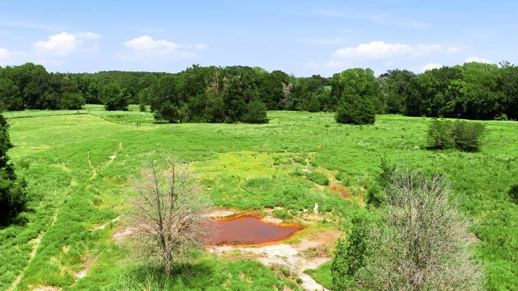 12.36 acres in HENDERSON County - photo 4