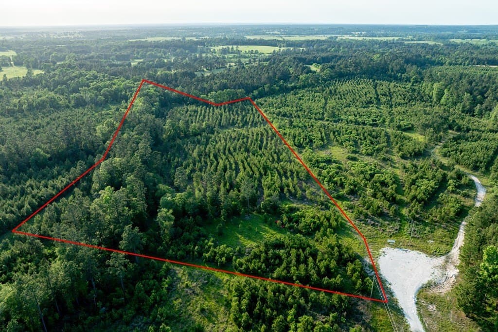 10.01 acres in HOUSTON County gallery image 3