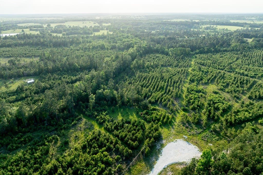 10.01 acres in HOUSTON County gallery image 2