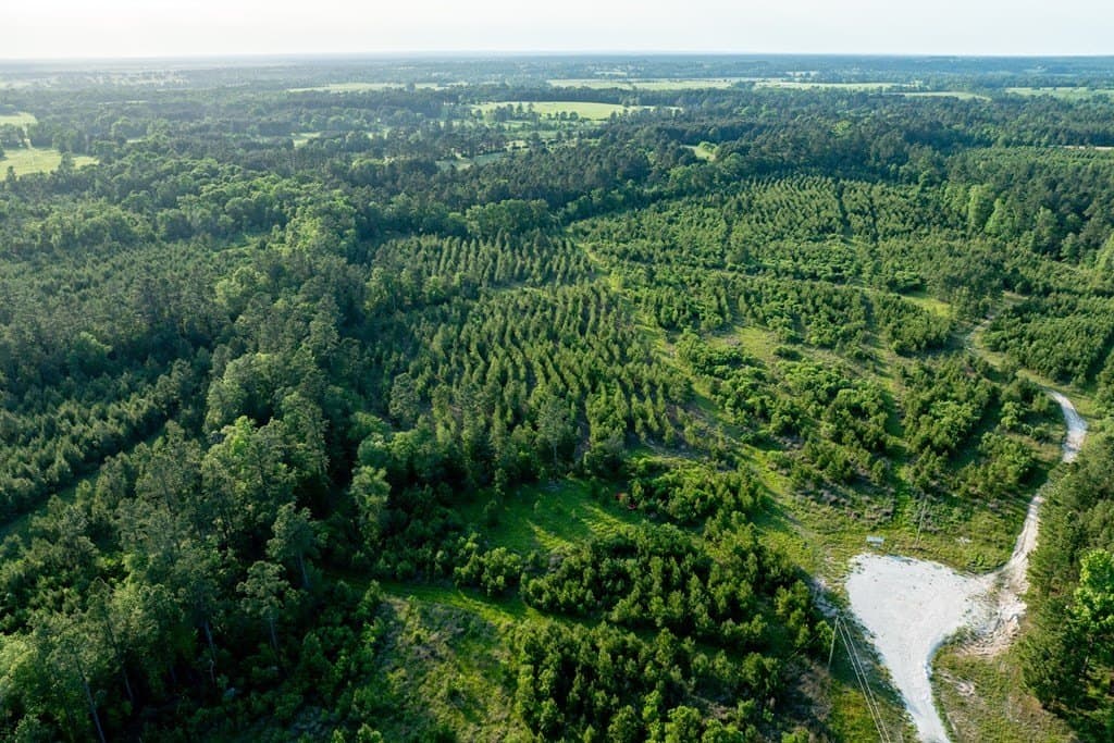 10.01 acres in HOUSTON County gallery image 4