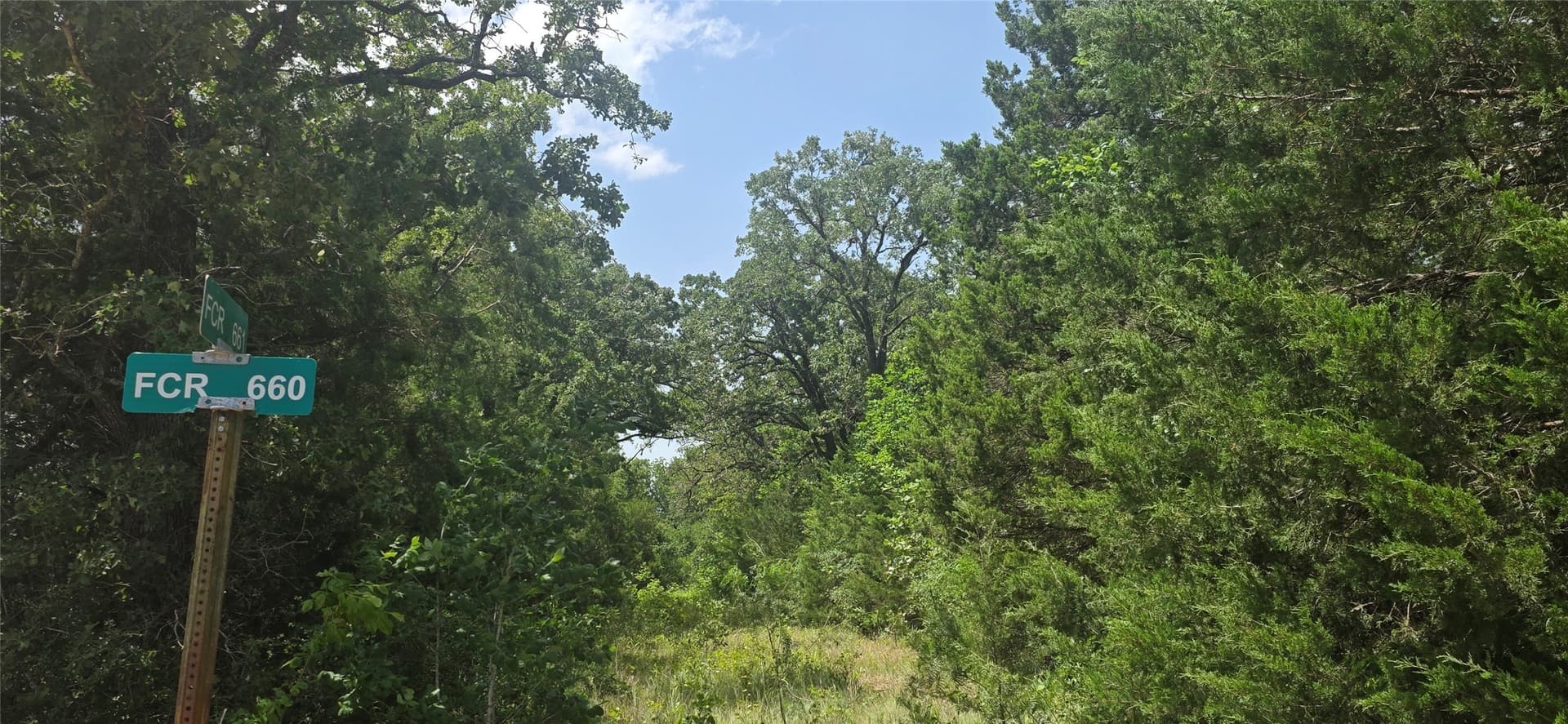 50 acres in Freestone County - photo 3