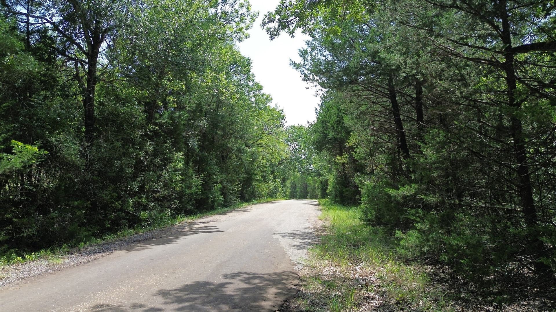 50 acres in Freestone County - photo 15