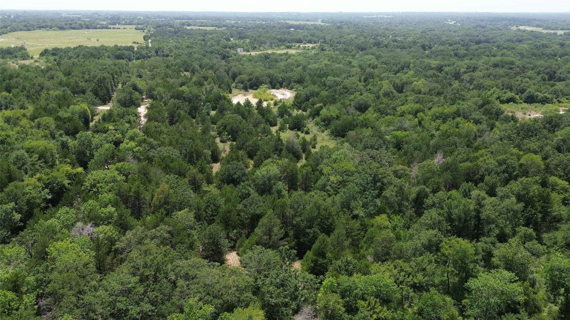 50 acres in Freestone County - photo 19