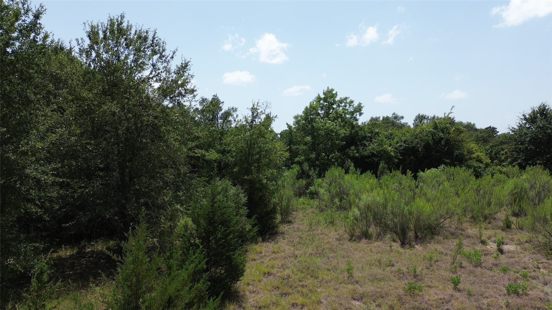 50 acres in Freestone County - photo 14