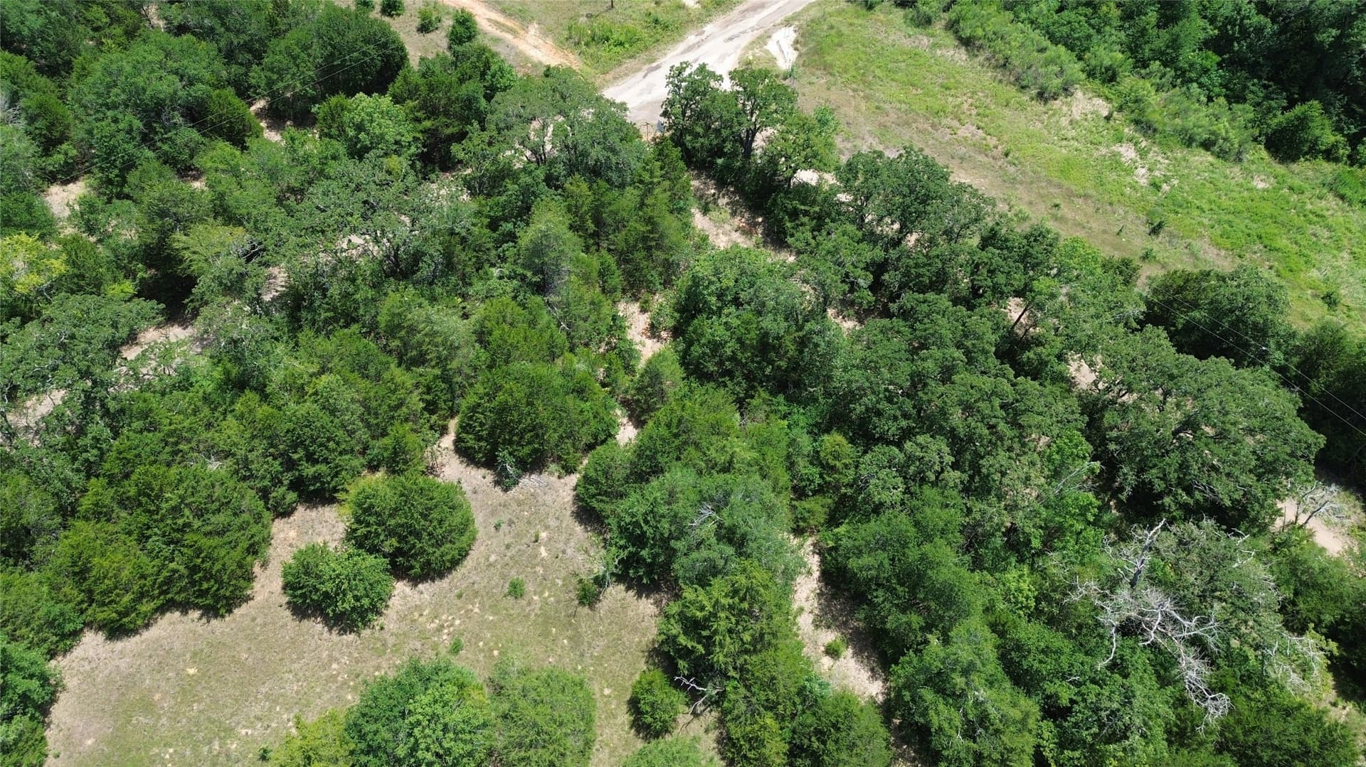 50 acres in Freestone County - photo 10
