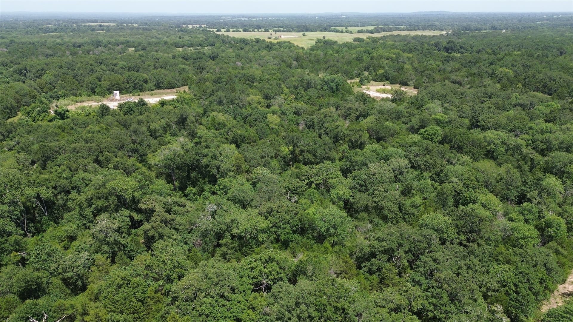 50 acres in Freestone County - photo 13