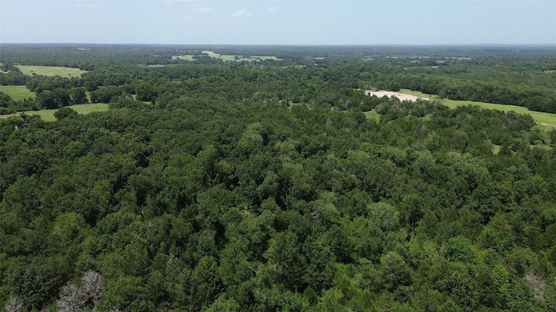 50 acres in Freestone County - photo 18