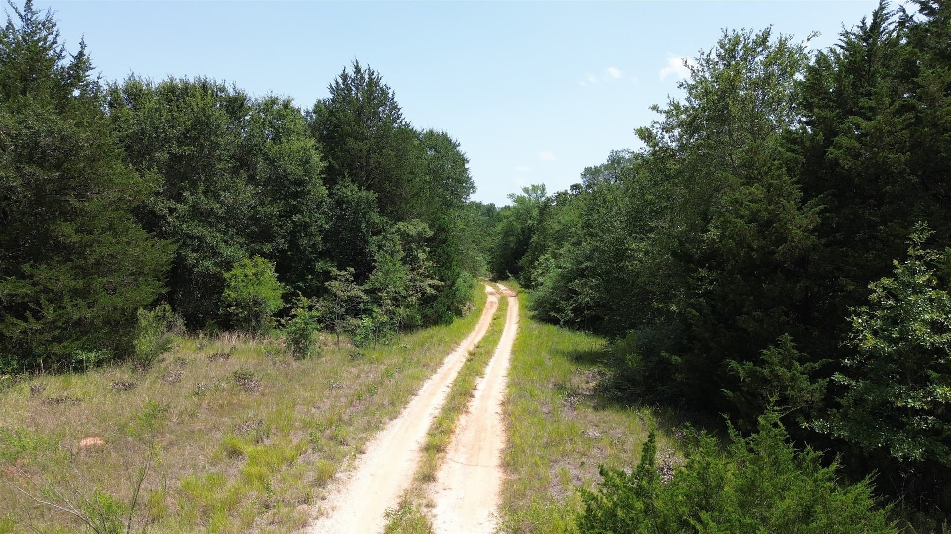 50 acres in Freestone County - photo 17