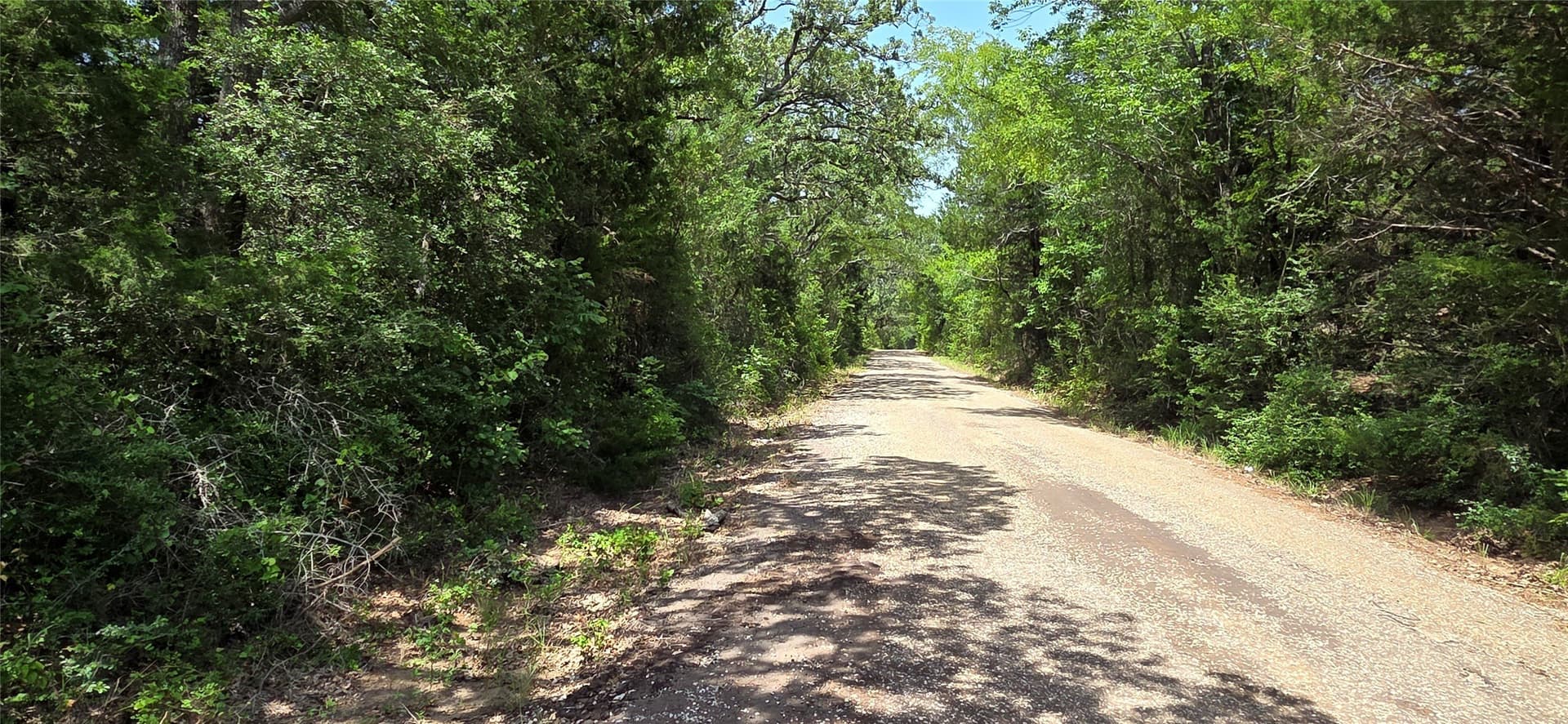 50 acres in Freestone County - photo 5
