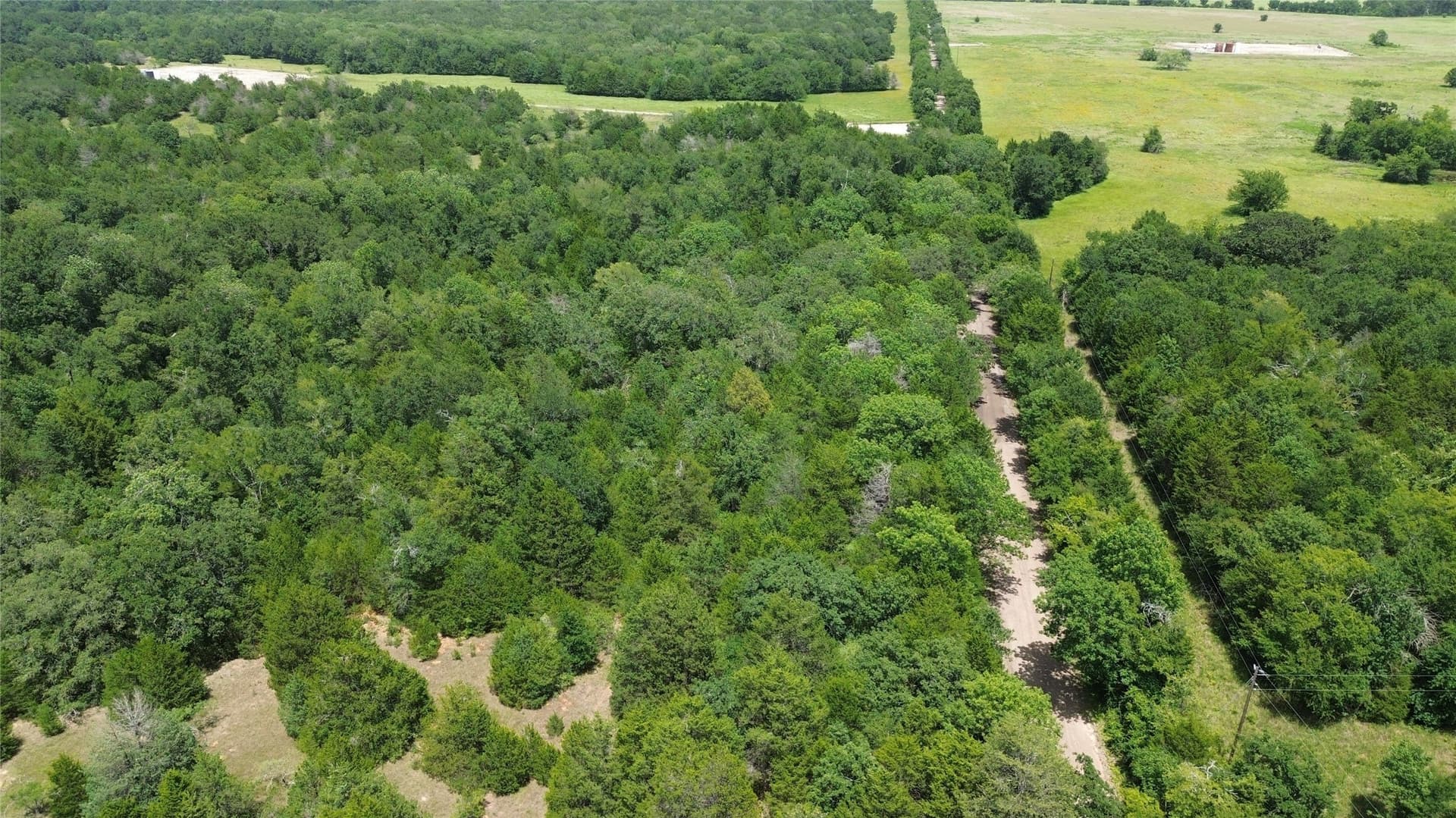 50 acres in Freestone County - photo 6