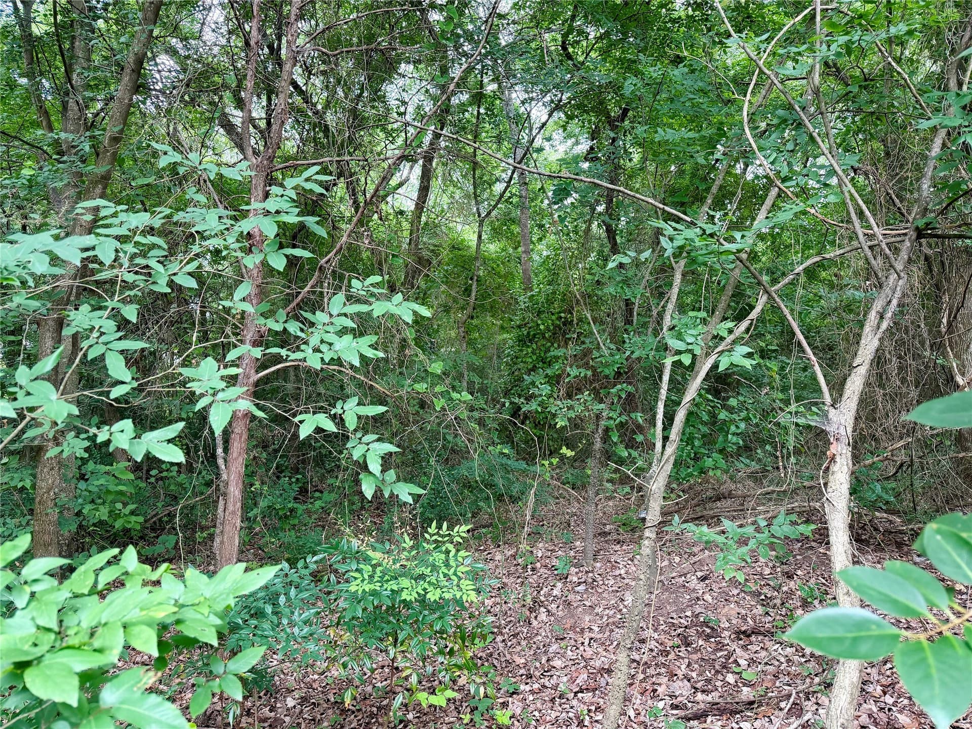 1.1 acres in Henderson County gallery image 3