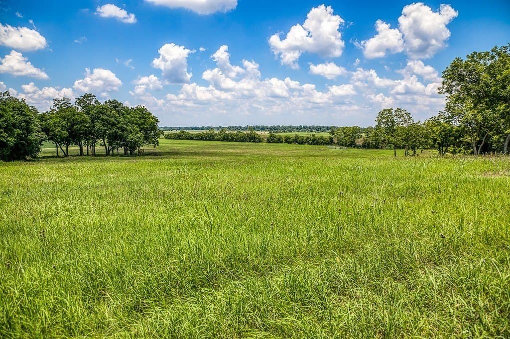 15.21 acres in Washington County - photo 23