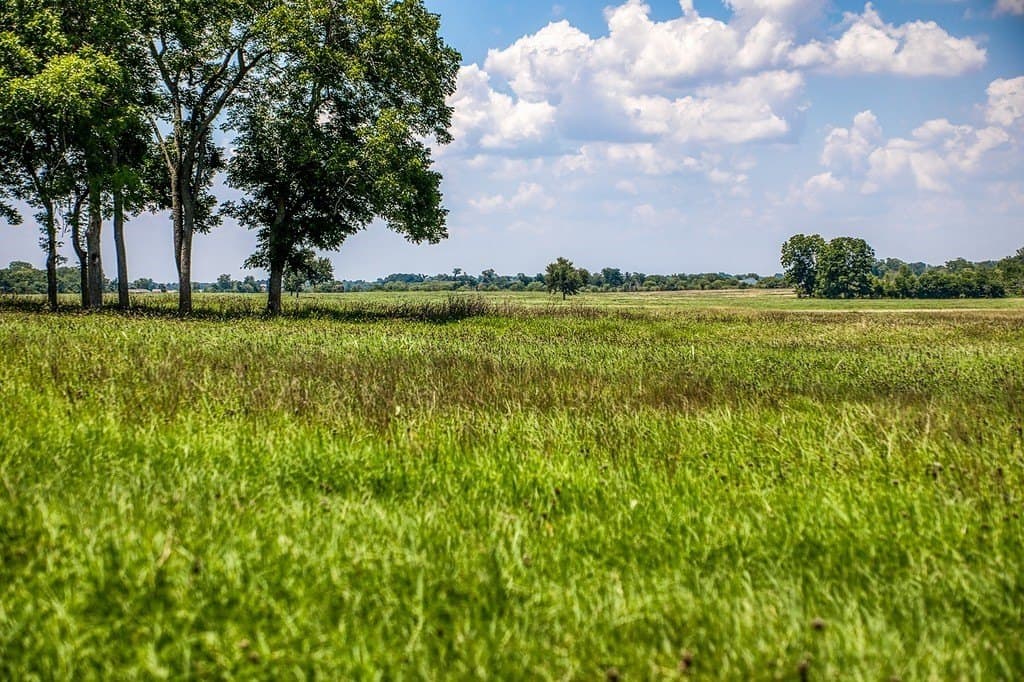 15.21 acres in Washington County gallery image 3
