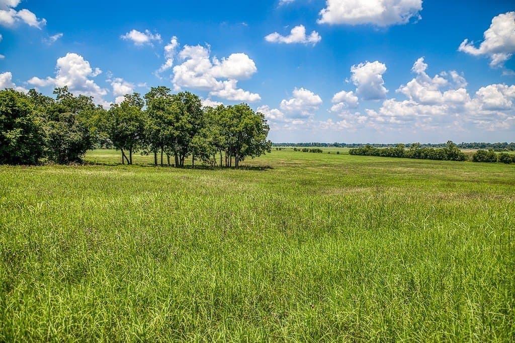 15.21 acres in Washington County - photo 21