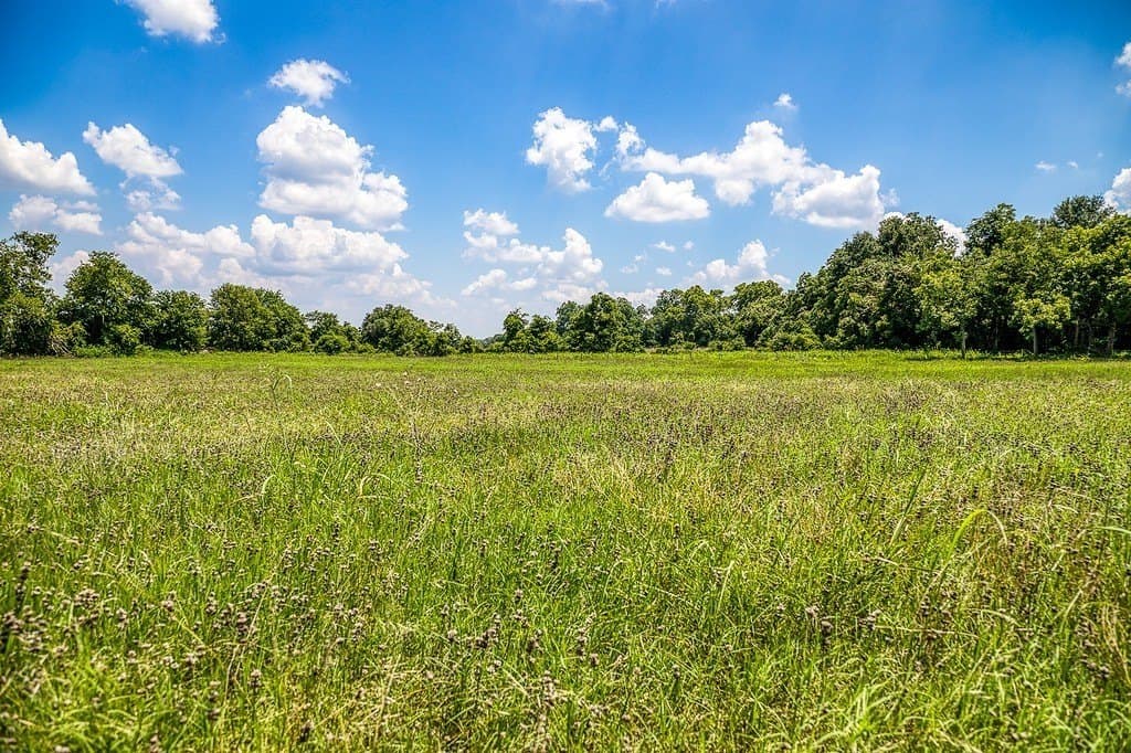 15.21 acres in Washington County - photo 17