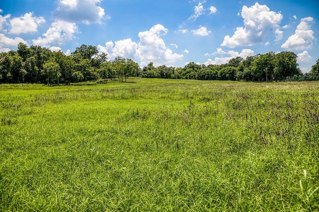 15.21 acres in Washington County - photo 18