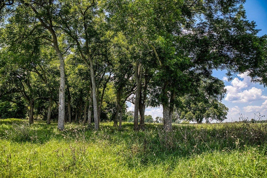 15.21 acres in Washington County gallery image 2