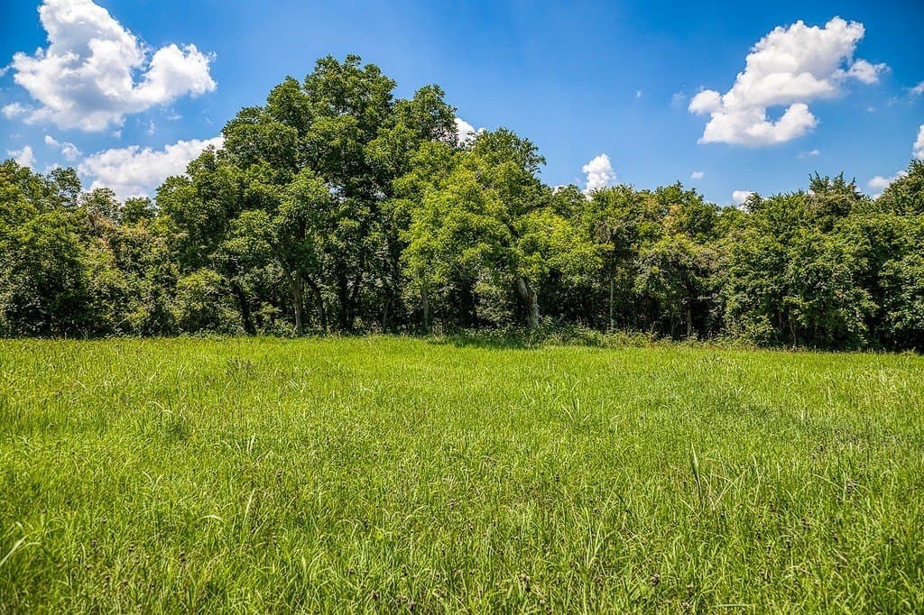 15.21 acres in Washington County - photo 22