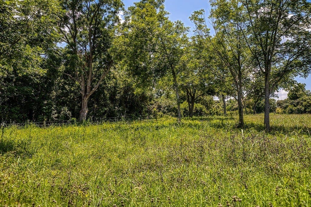 15.21 acres in Washington County gallery image 4
