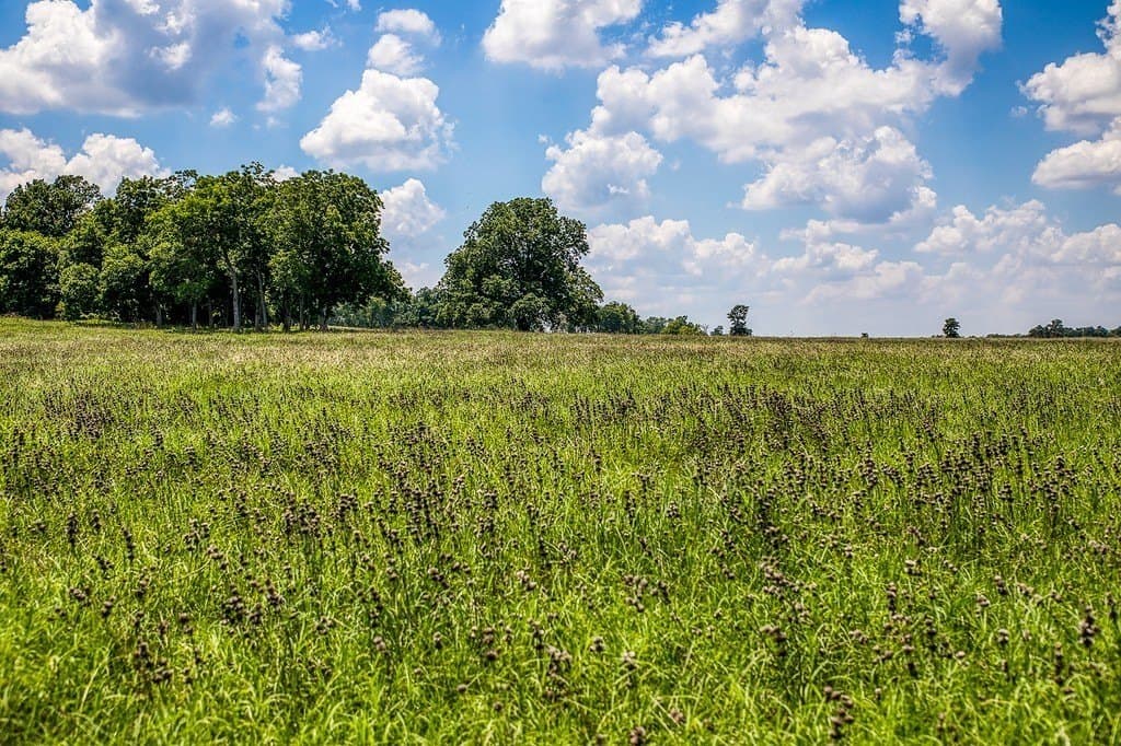 15.21 acres in Washington County - photo 19