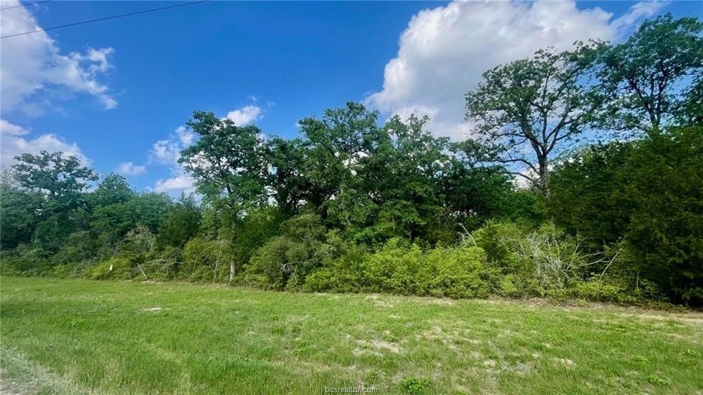 5.51 acres in Robertson County gallery image 4