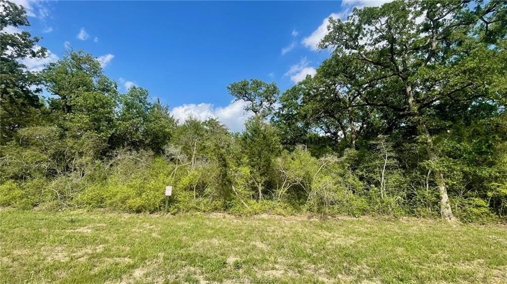 5.51 acres in Robertson County - photo 8