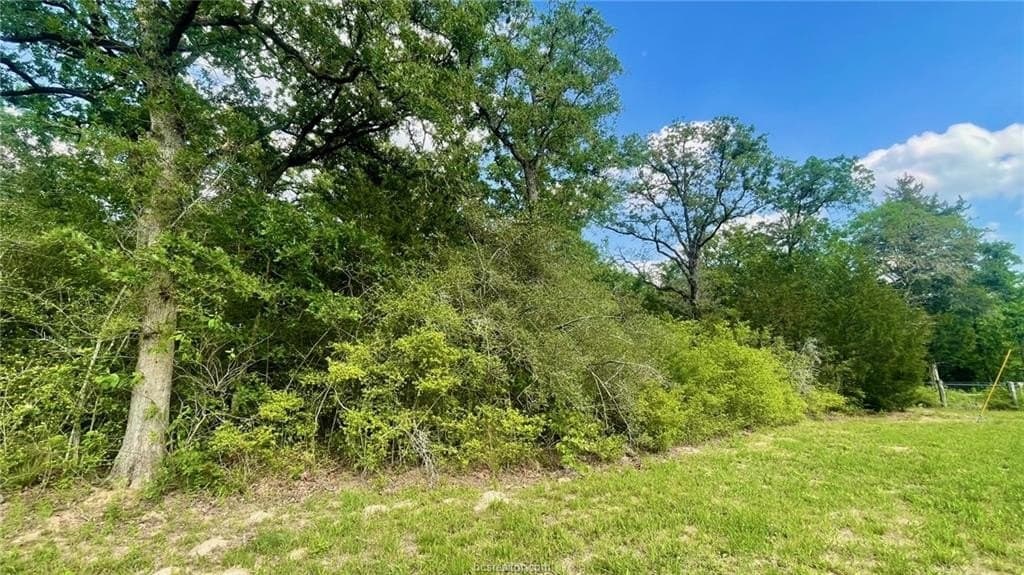 5.51 acres in Robertson County - photo 7