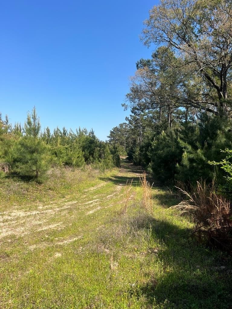 136.5 acres in Cherokee County featured view