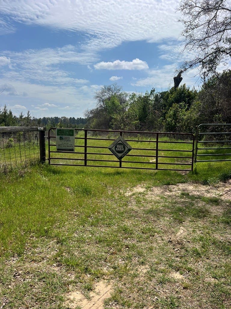 136.5 acres in Cherokee County gallery image 2