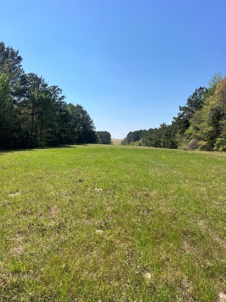 136.5 acres in Cherokee County gallery image 3