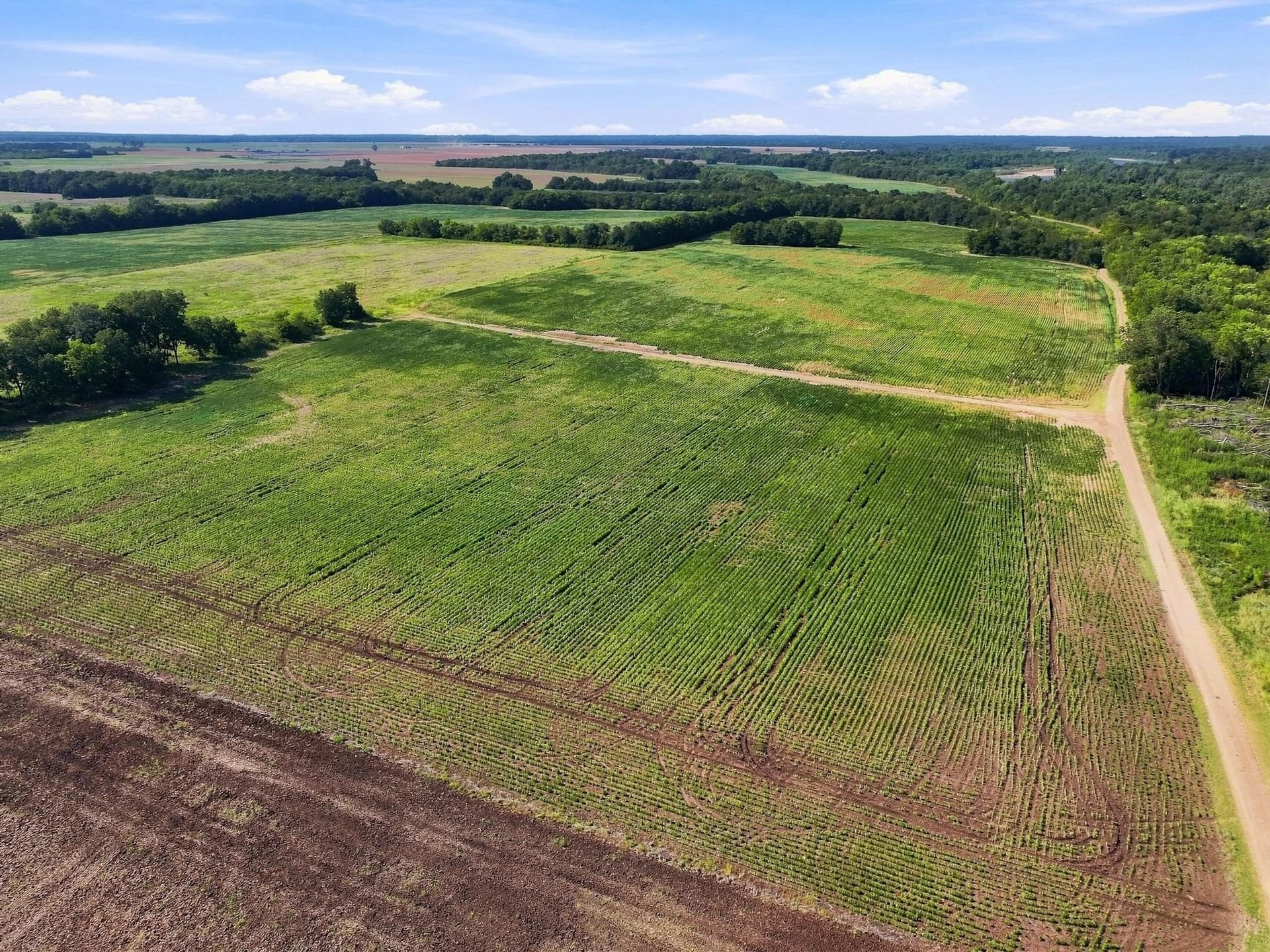 47.15 acres in Lamar County - photo 16