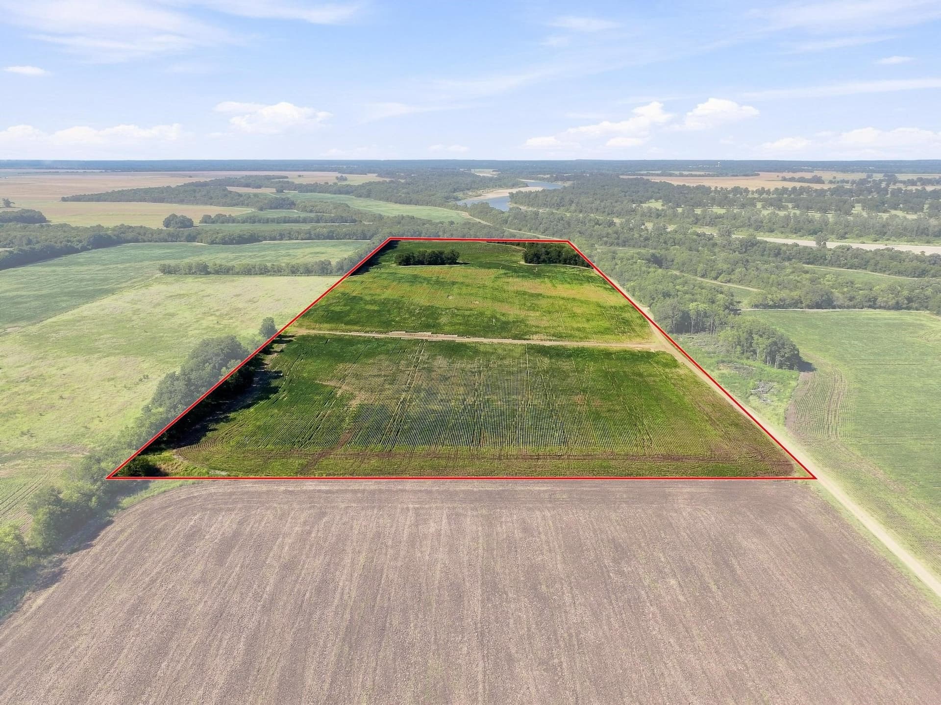 47.15 acres in Lamar County - photo 6