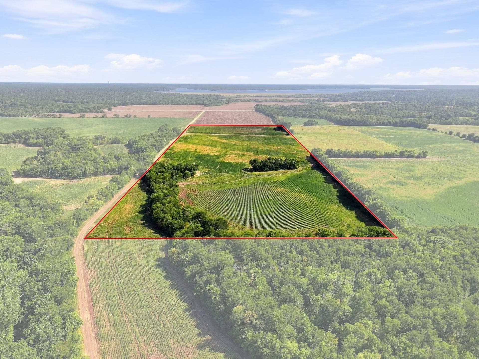 47.15 acres in Lamar County - photo 12