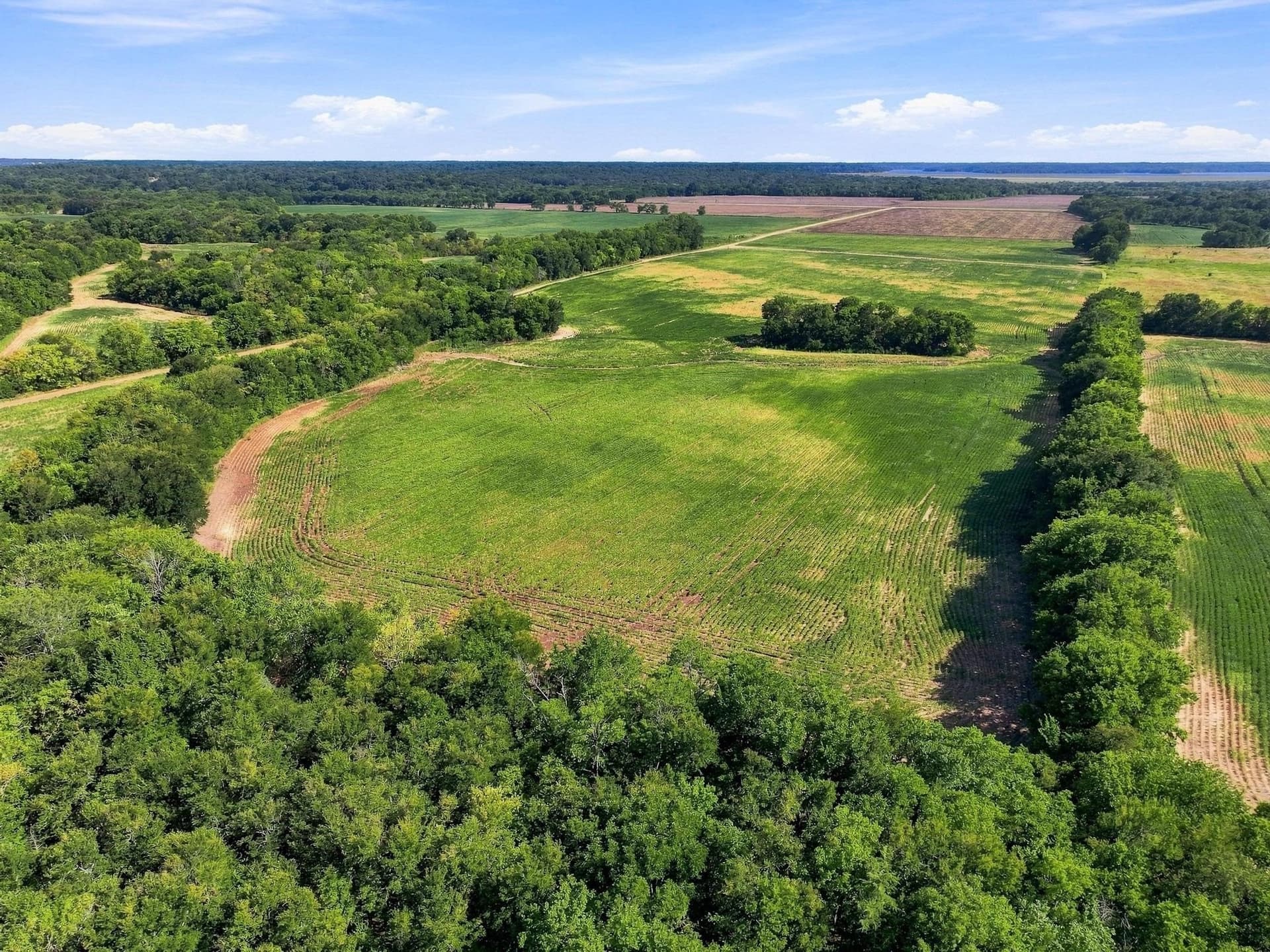 47.15 acres in Lamar County - photo 18