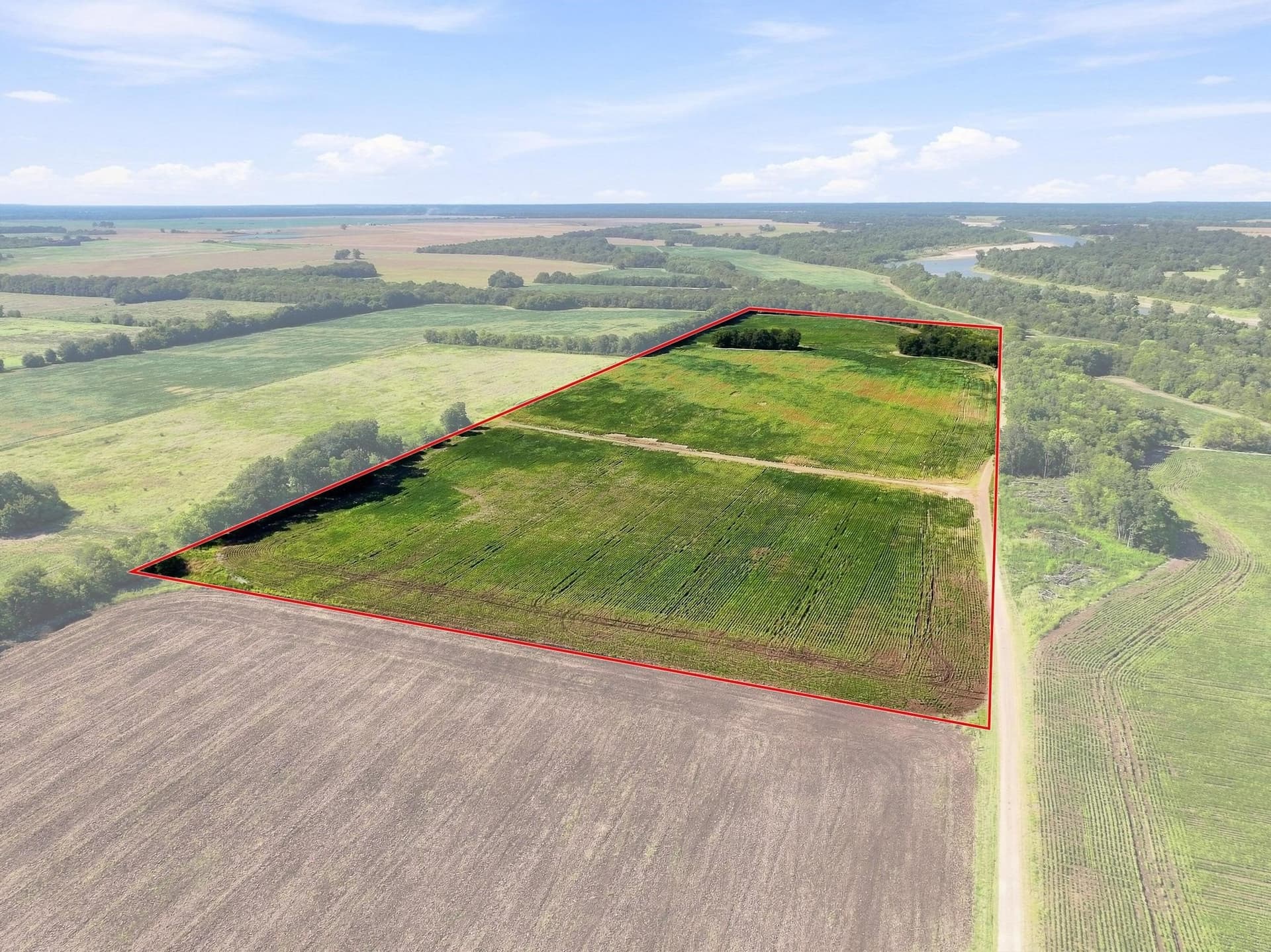 47.15 acres in Lamar County - photo 3