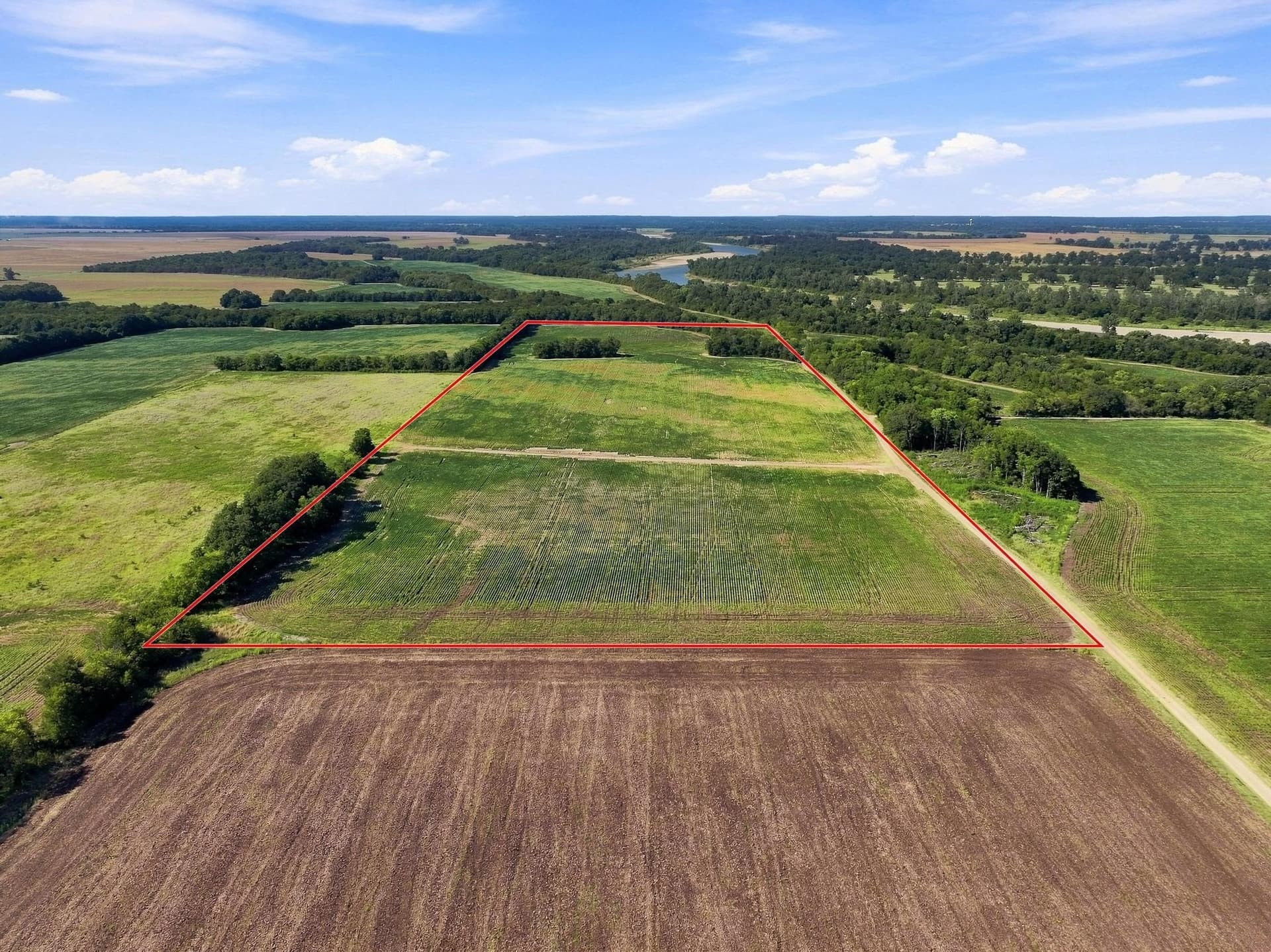 47.15 acres in Lamar County - photo 7