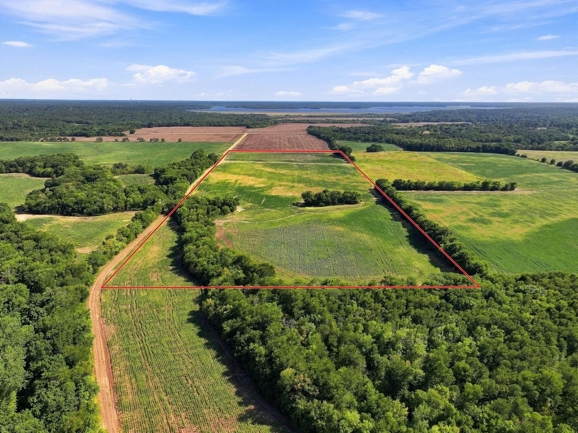 47.15 acres in Lamar County - photo 13