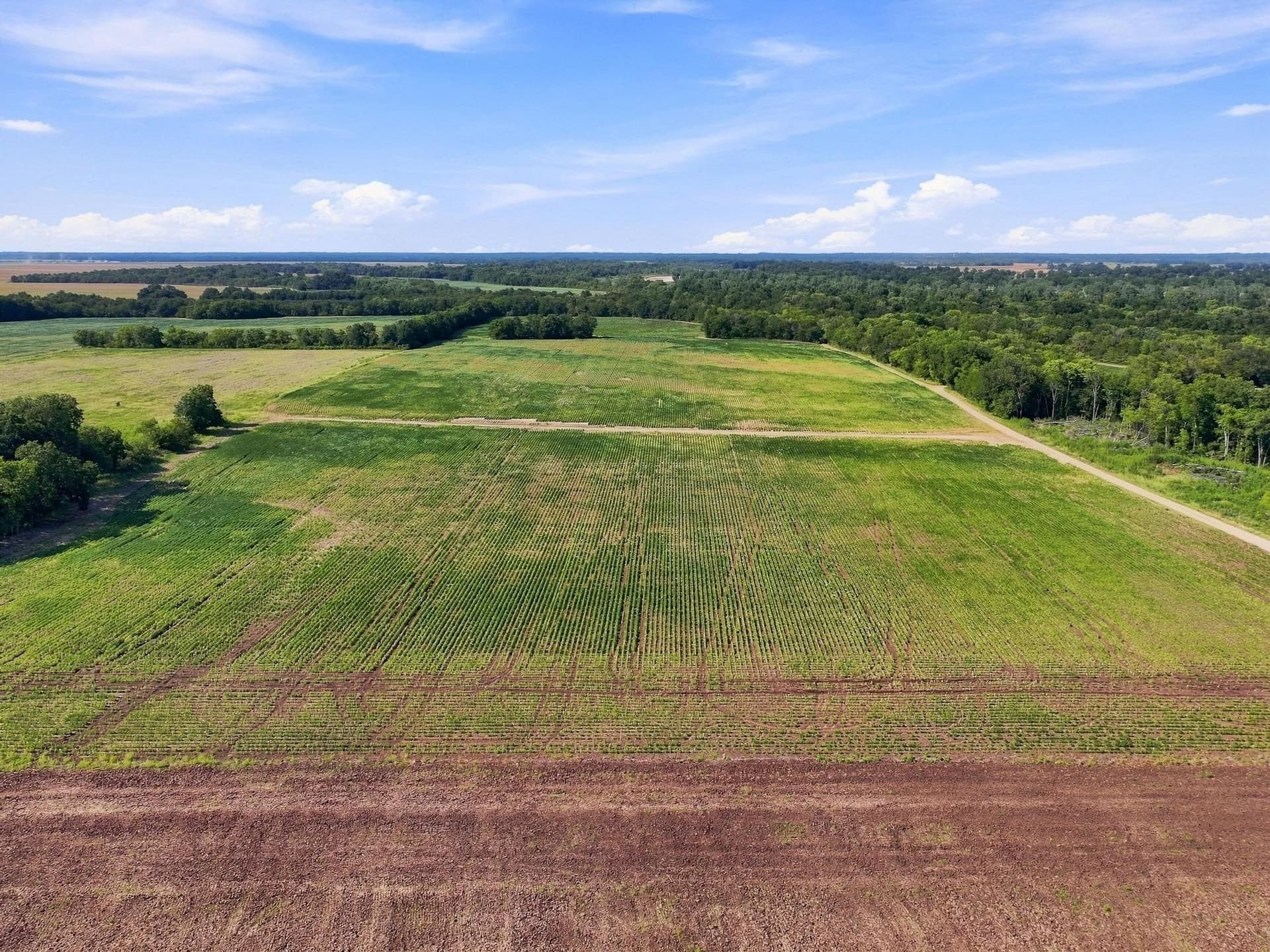 47.15 acres in Lamar County - photo 17