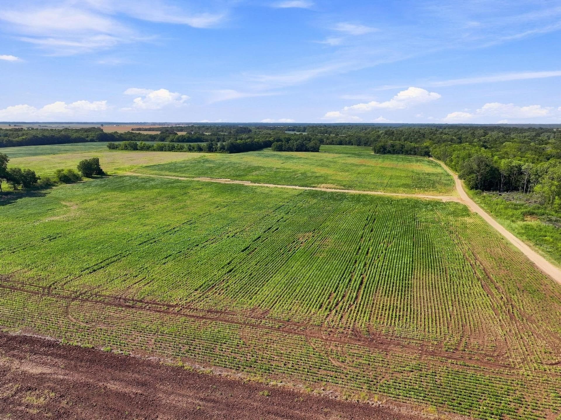 47.15 acres in Lamar County - photo 21