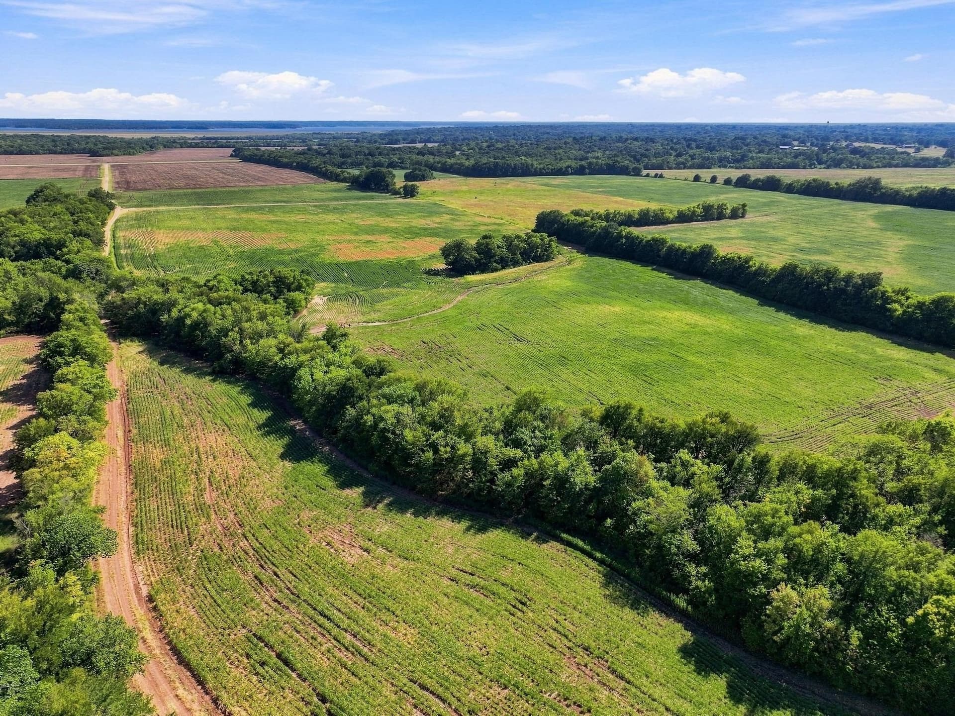 47.15 acres in Lamar County - photo 19