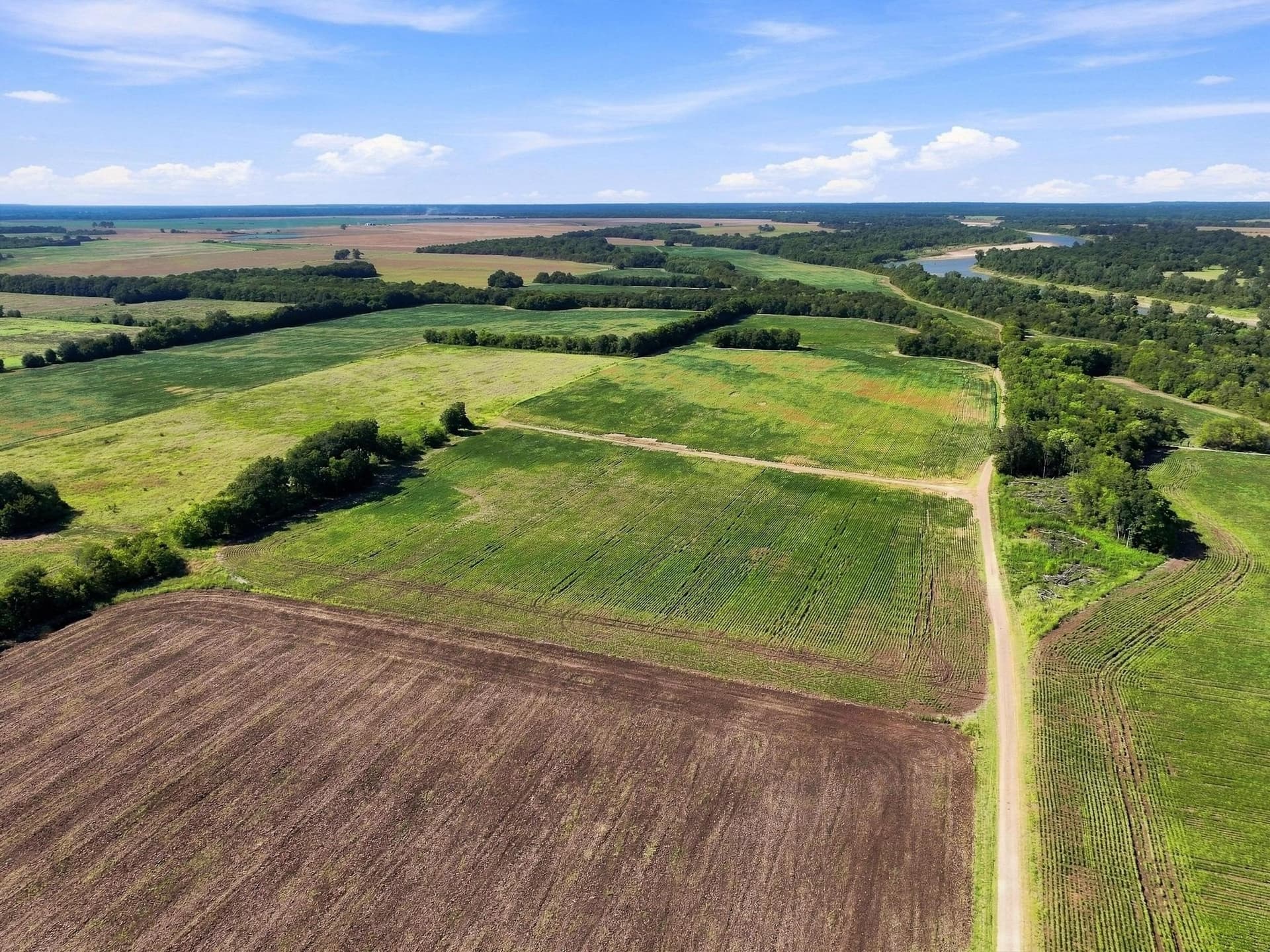 47.15 acres in Lamar County - photo 5