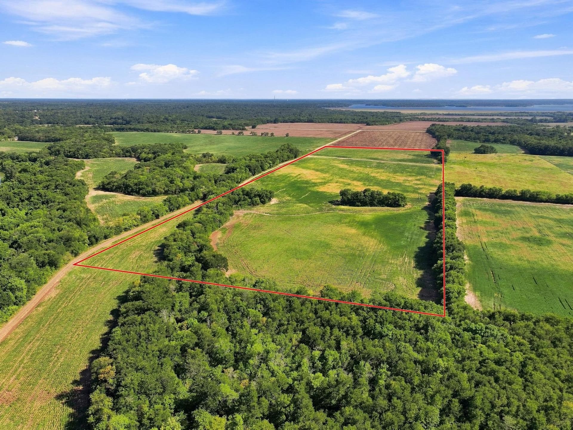 47.15 acres in Lamar County - photo 11