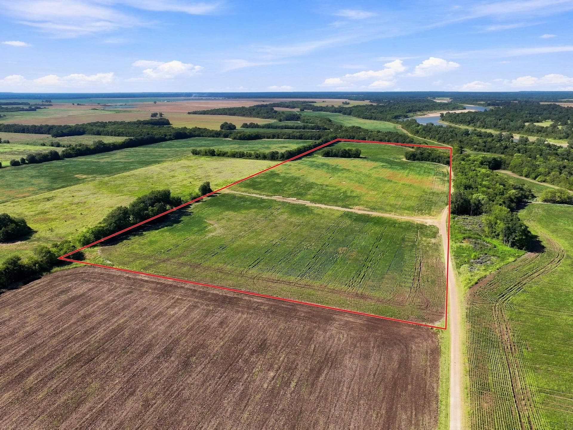 47.15 acres in Lamar County - photo 4